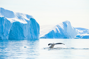 Cruceros Groenlandia