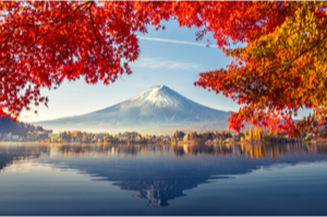 Cruceros Japon